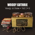 The cover artwork for Woody at Home.