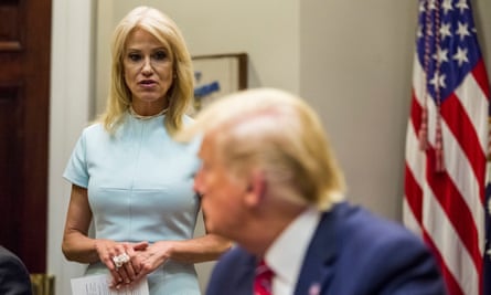 woman who is Kellyanne Conway in a pale blue dress