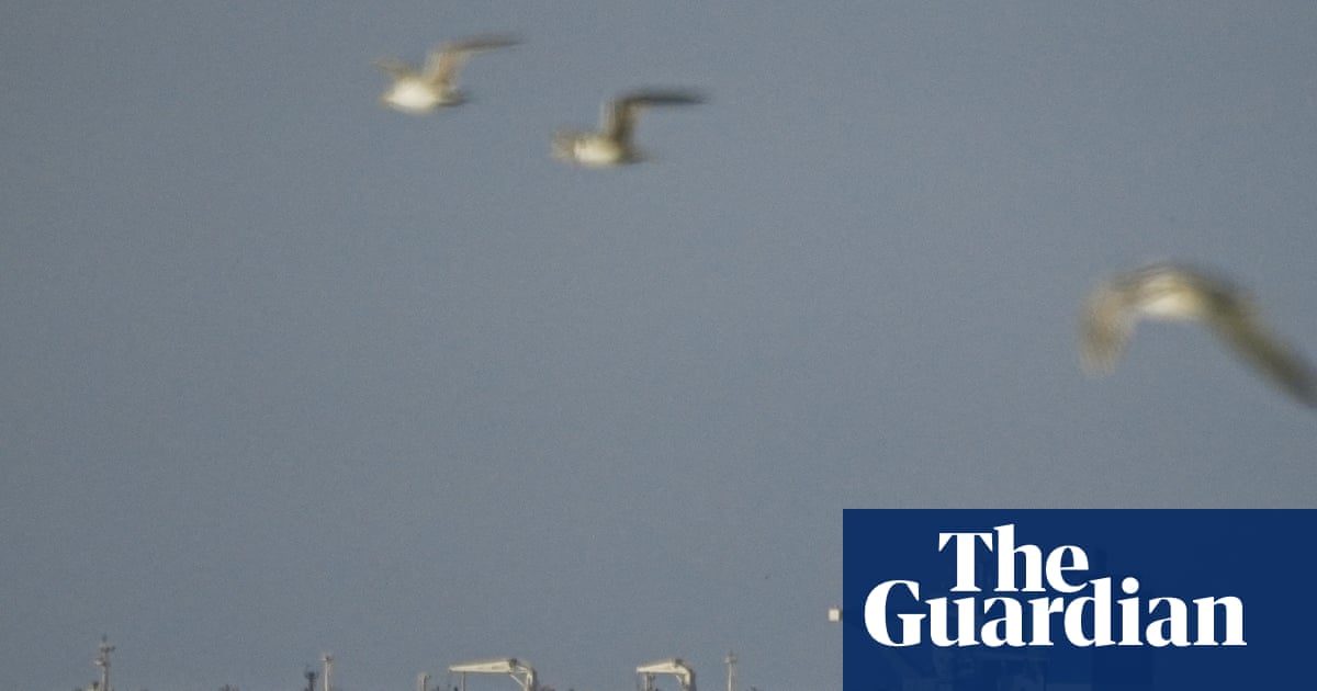 Relief in financial markets after Iran ceasefire – but it is far from absolute | Richard Partington