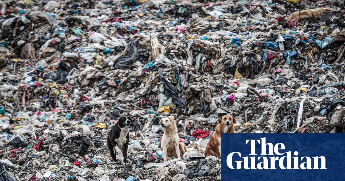 Germany was largest exporter of plastic waste in 2025, sending 810,000 tonnes overseas, analysis finds
