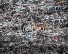 Germany was largest exporter of plastic waste in 2025, sending 810,000 tonnes overseas, analysis finds