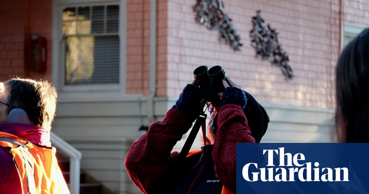 Monarch butterflies could disappear. Butterfly Town USA is scrambling to save them