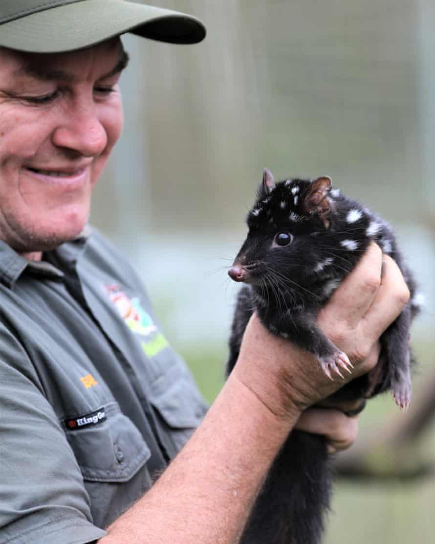 Dean Reid from Aussie Ark pictured with an eastern quoll set for release.