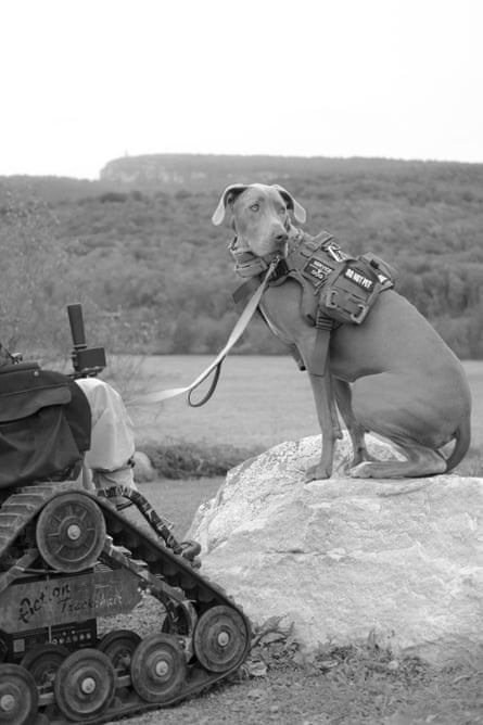 A service dog rests on a rock outside
