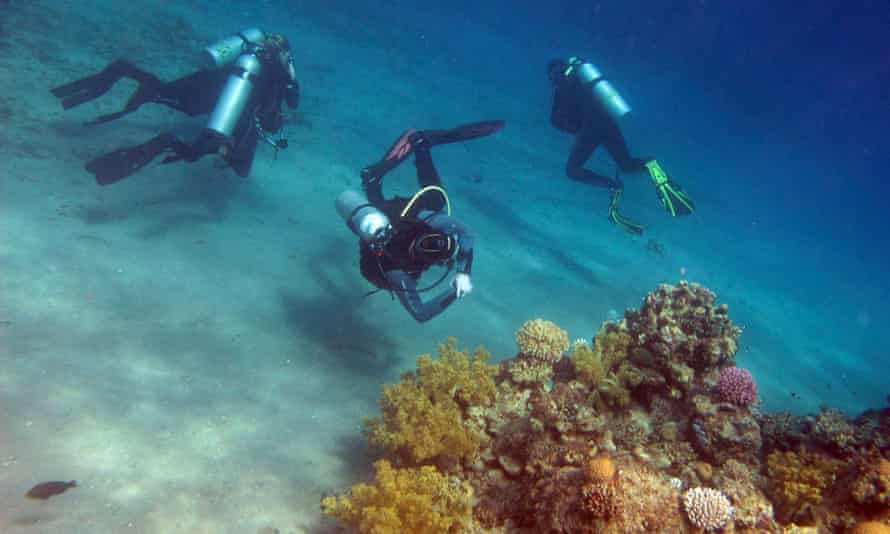 Divers in the Red Sea, Dahab.
