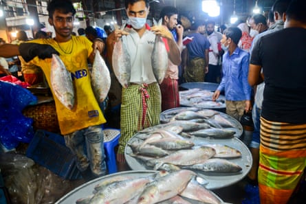 Hilsa Fish Market In Dhaka