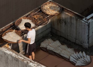 This worker is processing endangered hammerhead shark fins at a small factory on top of a residential building in Kennedy Town, Western District, Hong Kong. The red list of threatened species of the International Union for the Conservation of Nature (IUCN) has classified two sub-species of hammerhead shark as ‘endangered’ and one sub-species as ‘vulnerable’. Under Hong Kong law, hammerhead shark fins can still be traded and possessed legally, but unlicensed food kitchens situated on top of residential tower block rooftops are illegal.