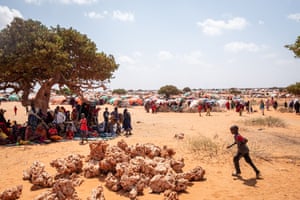 Under a yellowed myrrh tree, people shelter from the sun at a mobile clinic at a camp for displaced people