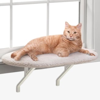 Your indoor cat is bored. Here are toys and tools to fix that | cats 1000