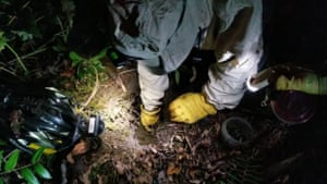 Beekeepers in Nanaimo destroy a giant hornets’ nest in September 2019.