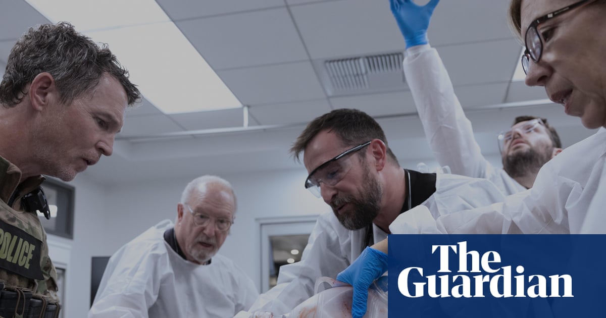 Sexy vibes to vampire doctors! All the wildest fan theories about The Pitt