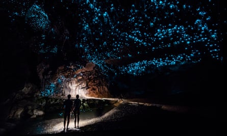 Couple standing underneath Glow Worm Sky in Waipu Cave, New Zealand