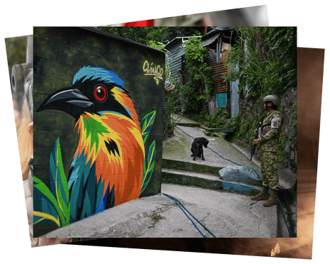 A soldier stands guard is a passageway next to a large mural of a brightly coloured bird
