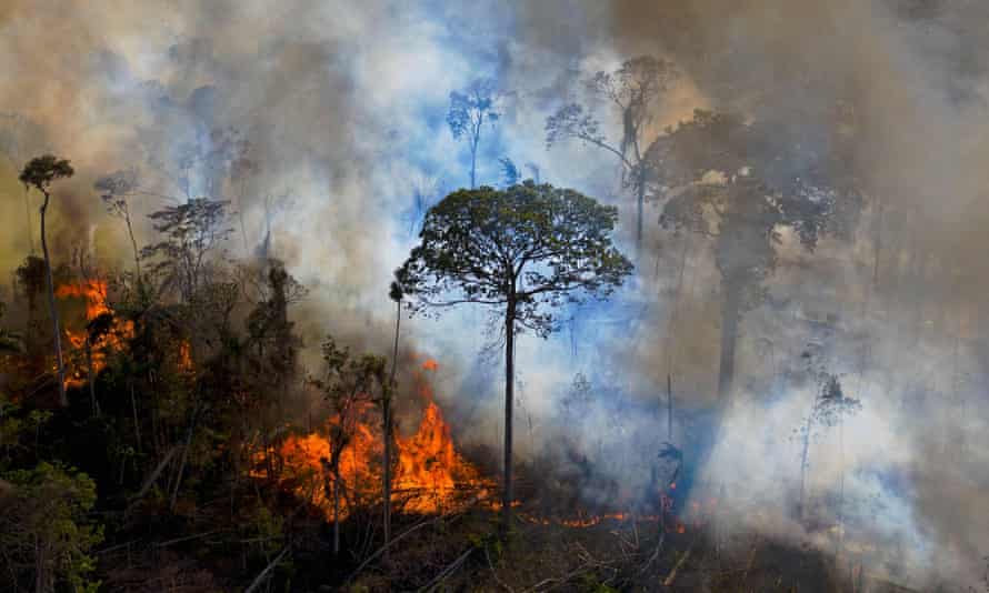 An illegally lit fire in the Amazon rainforest reserve in Para state, Brazil