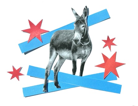 paper cut out of a donkey
