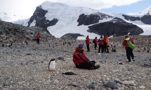 Current regulations mandate how close visitors to Antarctica can get to its wildlife.