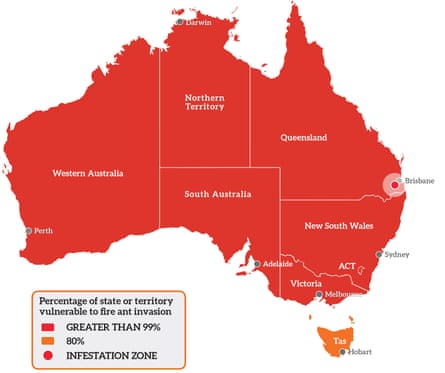 A map showing the parts of Australia vulnerable to fire ant invasion.