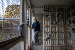 Trevor Steed by Carly Earlinside the high-speed, high-stakes world of pigeon racingPigeon racer Trevor, 91 in his backyard of his Blacktown home in Western Sydney. Blacktown pigeon racing club is one of the oldest in the country. The sport is slowly dying out as the clubs see the number of new members dropping every year.Guardian australia sport https://www.theguardian.com/sport/2022/oct/28/like-a-thoroughbred-race-horse-inside-the-high-speed-high-stakes-world-of-pigeon-racing