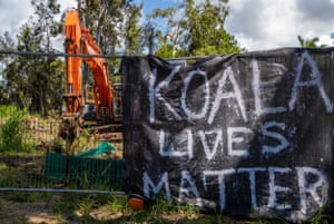 Locals and concerned citizens hang banners as land is cleared for development despite a resident koala population. Redlands, Brisbane, Queensland.