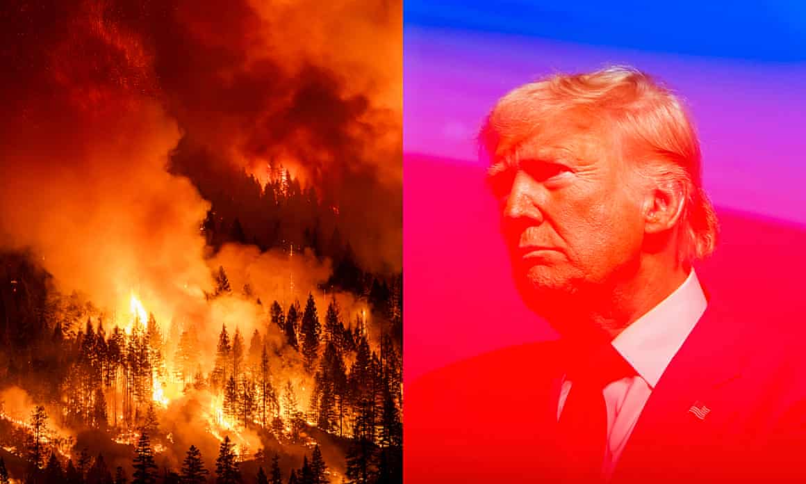 Composite image of a wildfire and Donald Trump