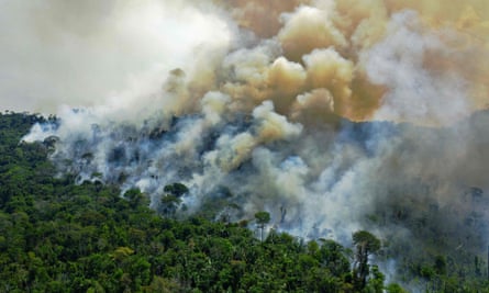 Plumes of smoke rise from a rainforest
