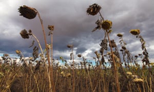 ‘The extraordinary – almost absurd – contrast between what we should be doing and what’s actually taking place fosters low-level climate denialism’