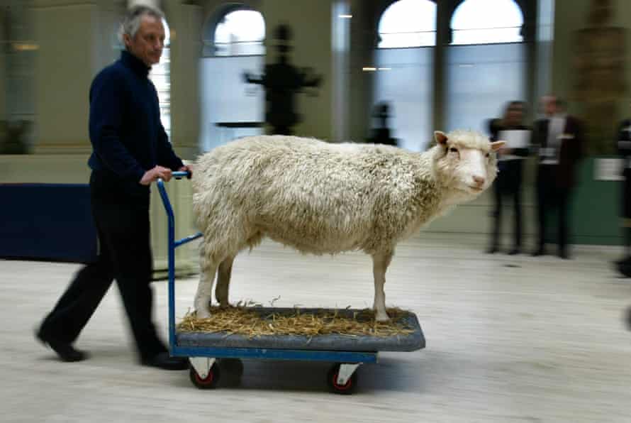 Dolly is wheeled into the National Museum of Scotland in 2003