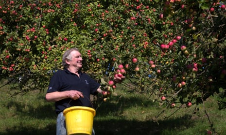 Cider orchards are doing great business thanks to a 17% uptick in cider sales.