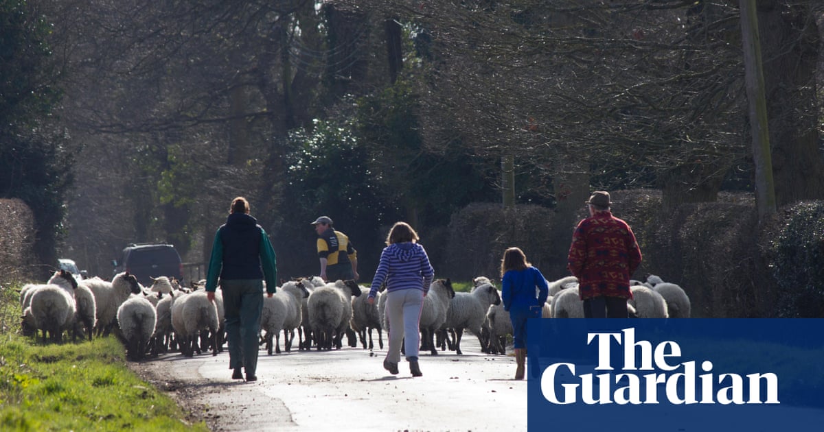 Never judge a farmer by her husband | Farming | The Guardian