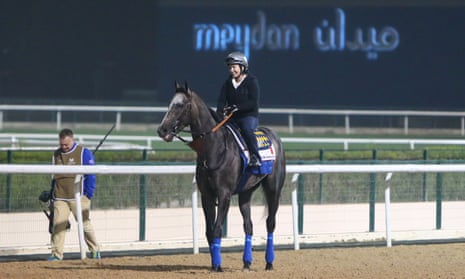 Arrogate completes his morning trackwork at Meydan racecourse in Dubai.
