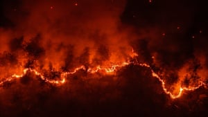 smoke and flames billow from a forested area