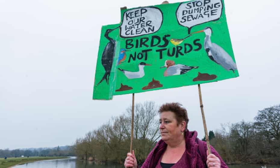 Protester at river with placard that reads Birds not Turds