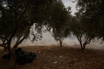 Teargas drifts among the trees