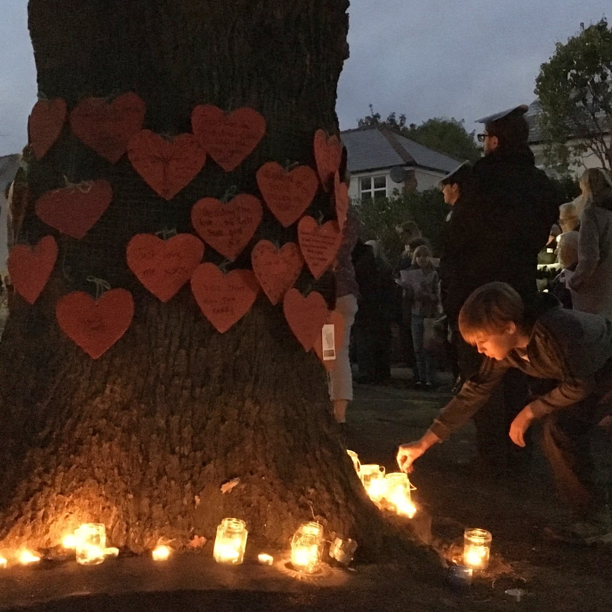 Sheffield Council Holds Out Olive Branch Over Tree Felling Plans
