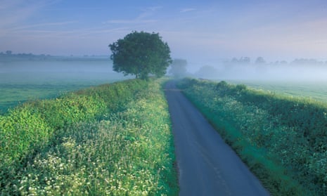 Country lane, Charlton Horethorne, Somerset England