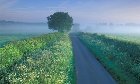 A country lane in Somerset