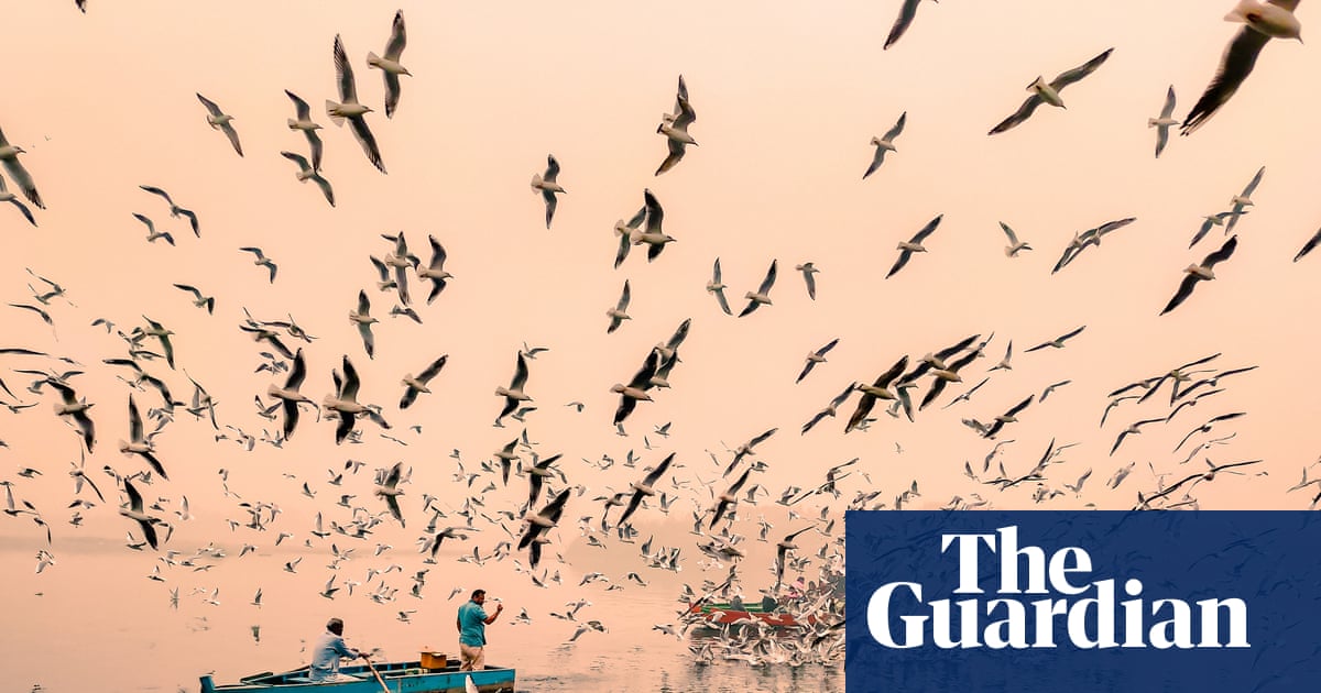 The foggy, golden sunrise makes for incredible images': Sachin Ghai's best phone picture