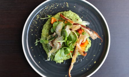 Houmous recouvert de feuilles d'herbes et de fines tranches de pain grillé qui en sortent