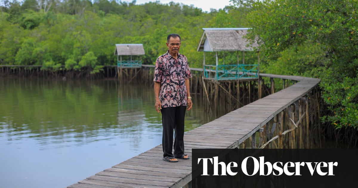 Lost homes, lost traditions, lost habitats: the cost of Indonesia’s brand new city | Global development Lost homes, lost traditions, lost habitats: the cost of Indonesia’s brand new city | Global development