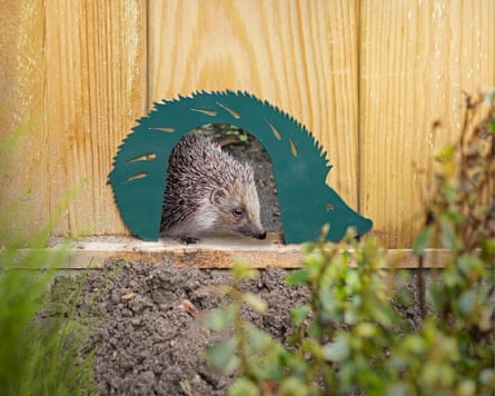 Fallen Fruits Hedgehog Gateway Small Mammal Friendly Gate Fence Crossing