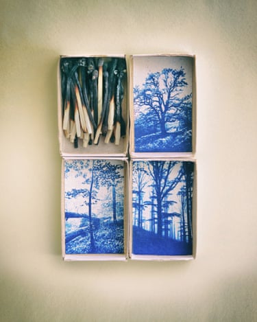 Four matchboxes, three of which have prints of forest scenes showing from the back of the box. The fourth, located at the top left of the image, contains used, charred match sticks.