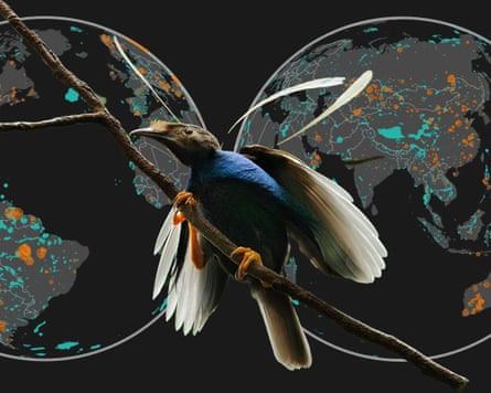 Il presidente americano Trump e il primo ministro israeliano discutono