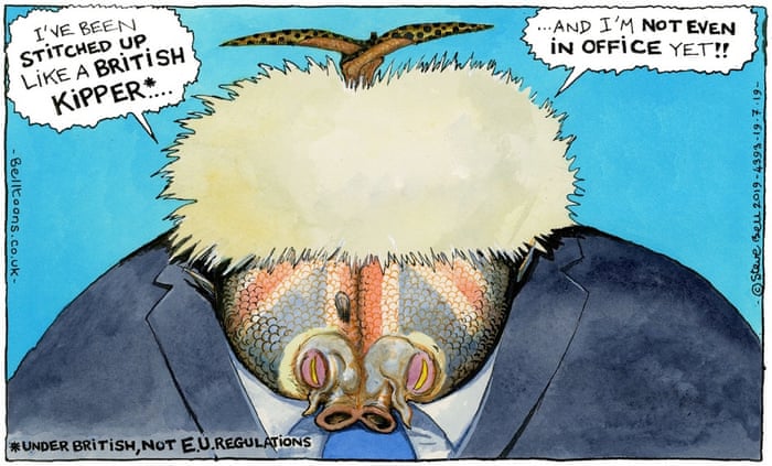 Steve Bell On Boris Johnson And His Kippers Claim Cartoon Opinion The Guardian