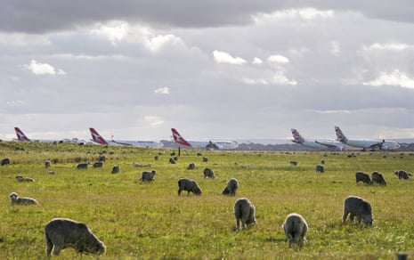 Planes parked on the runway at Avalon Airport during the pandemic.