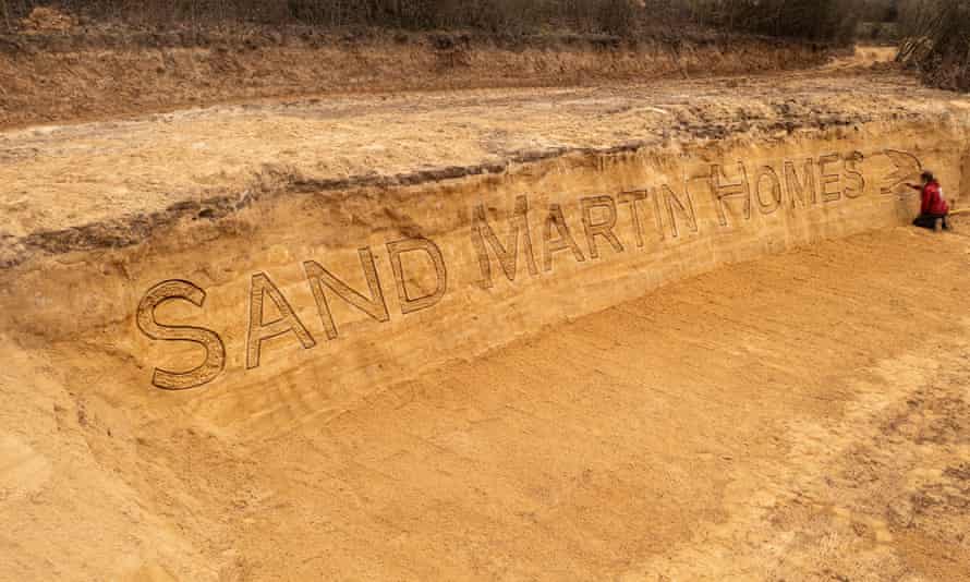The finished sandbank, ready for nesting sand martins.