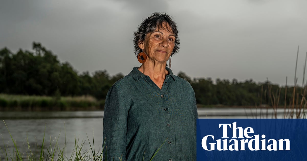 Pro-brumby activists racially vilified head of Indigenous group, Victorian tribunal finds
