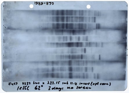 The first genetic fingerprint, prepared by Jeffreys at Leicester University in 1984. Photograph: SSPL/Getty Images