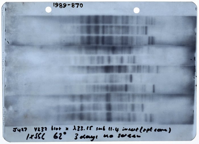 Killer Breakthrough The Day Dna Evidence First Nailed A Murderer