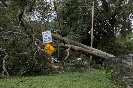 tree knocked down over a fence and beside traffic signs