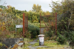 Greenery surrounds rusted gate